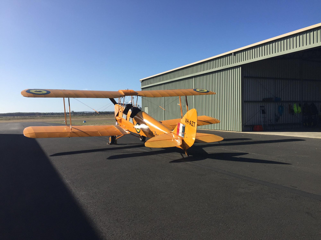 Tiger Moth Adventure Flights-巴瑟尔顿必去景点