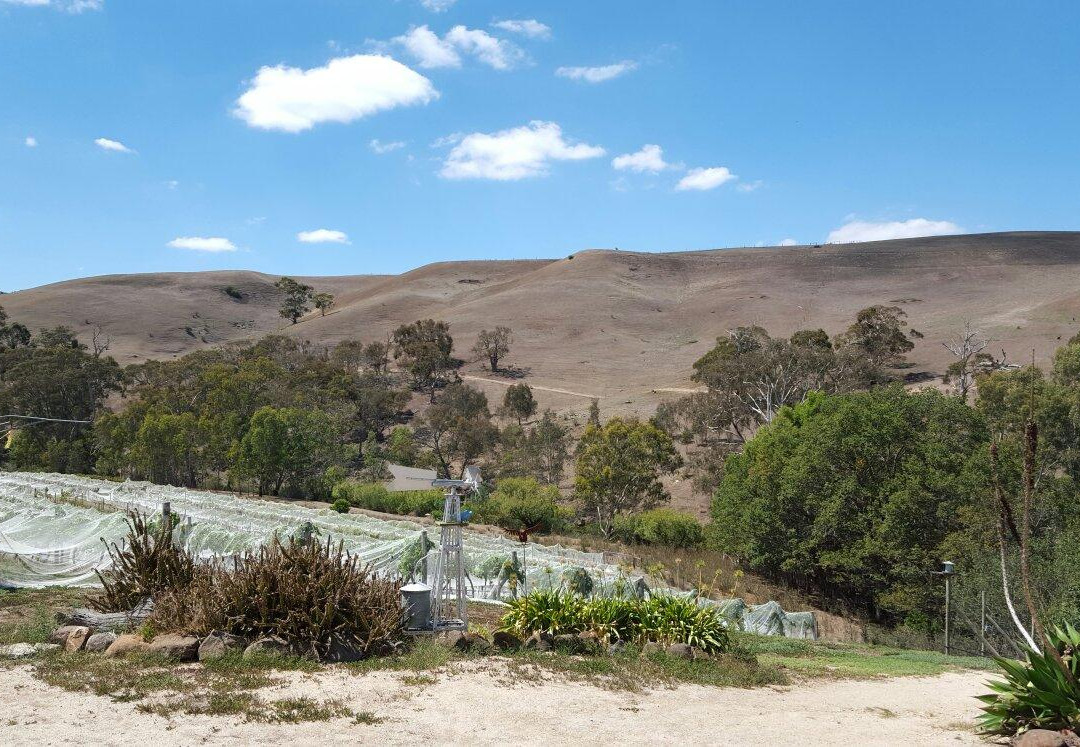 Moorabool Ridge Winery-Lethbridge必去景点