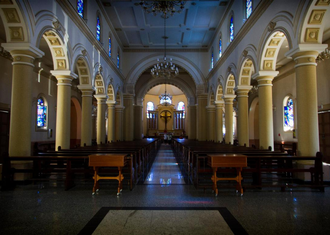 Catedral São José景点图片