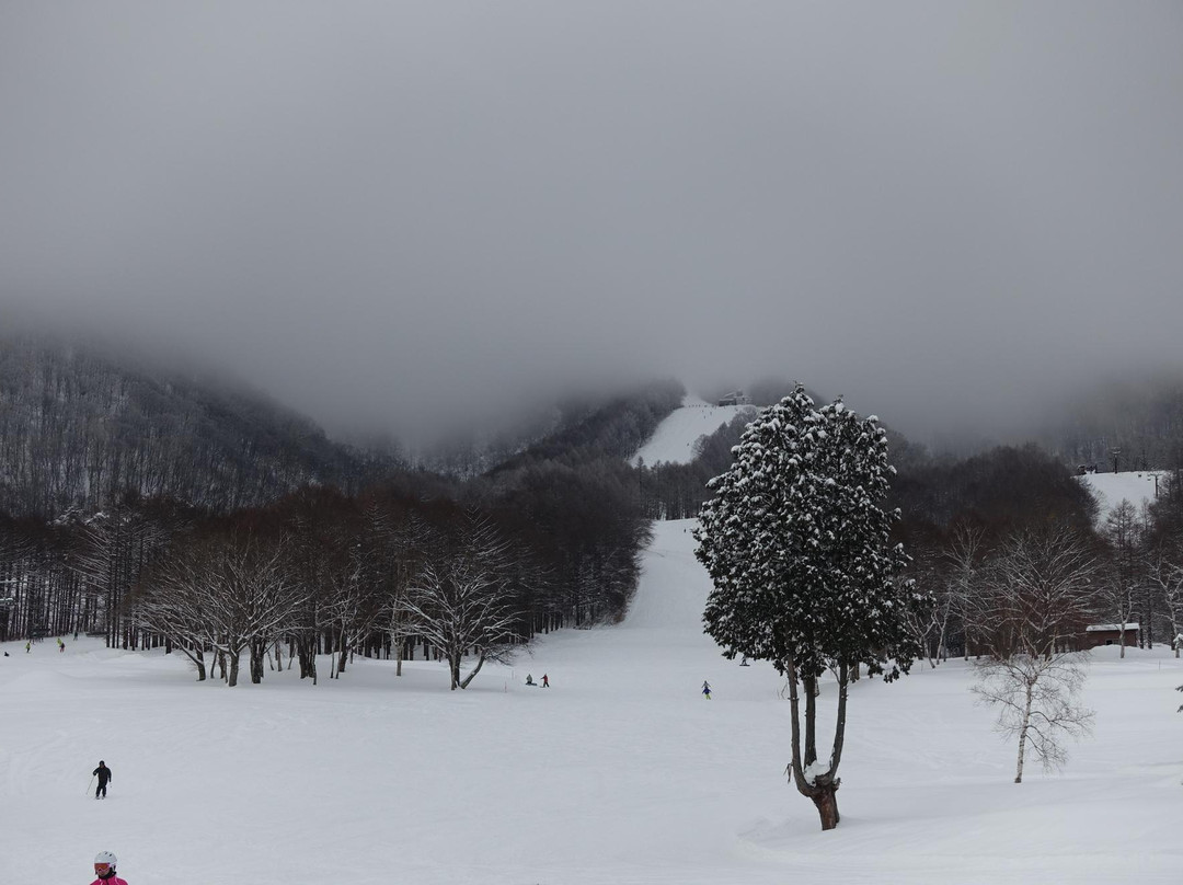 Kurohime Highland-信浓町 必去景点