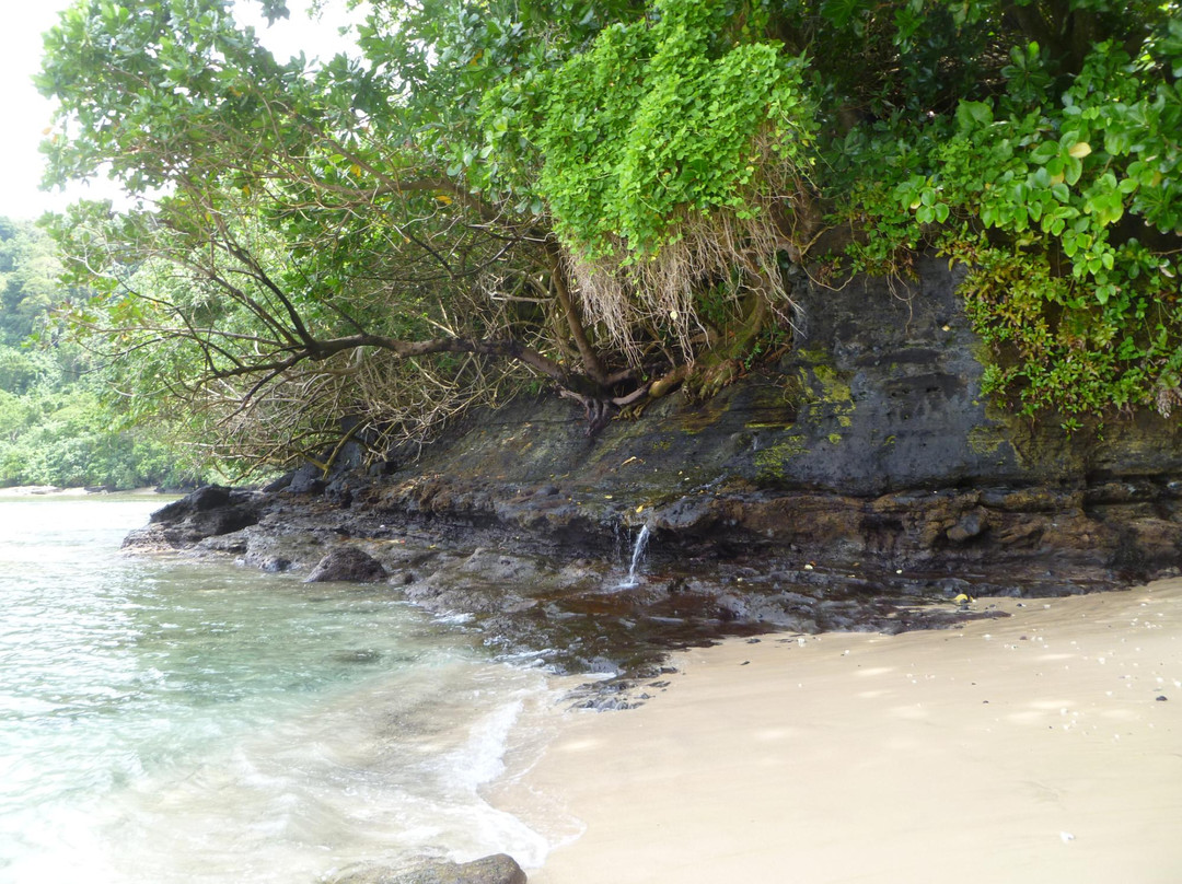 Fagatele Bay Trail景点图片