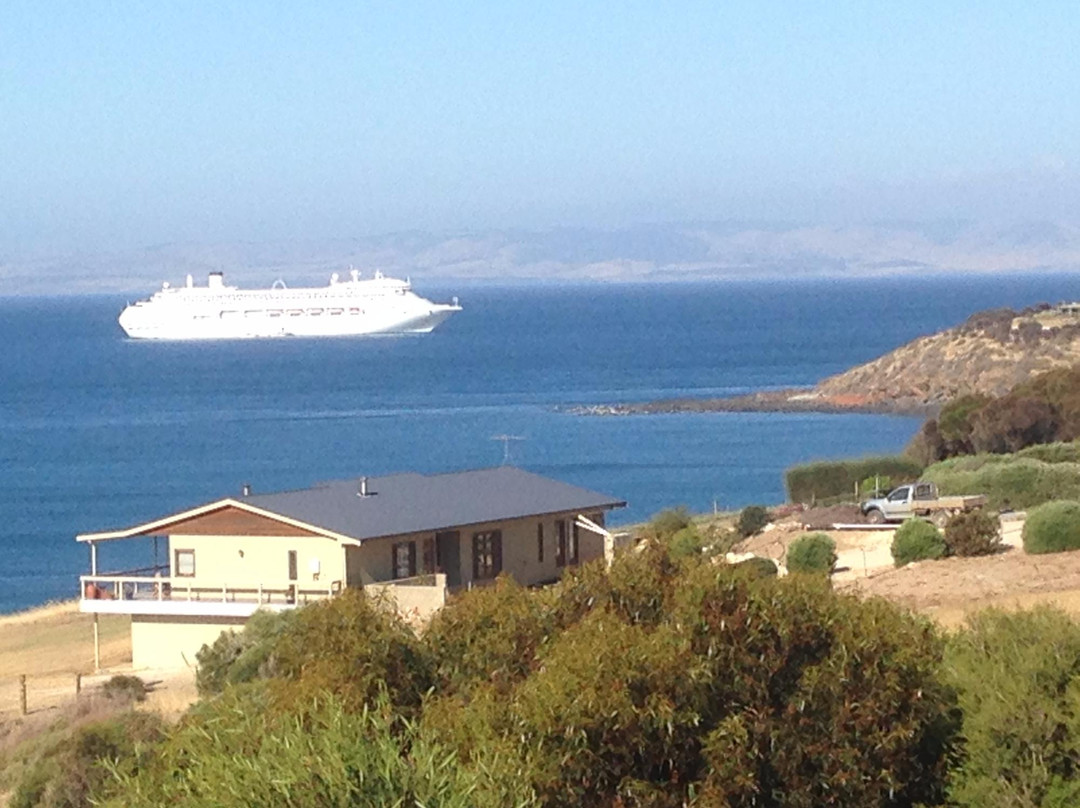 Cape Jervis旅游攻略图片