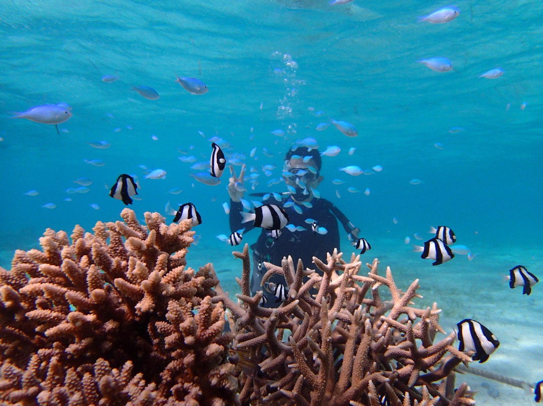 S2CLUB SAIPAN - Day Tours-塞班岛必去景点