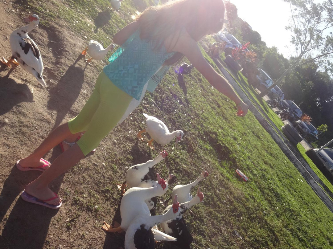 Parque Municipal Erivaldo Cerqueira-Feira de Santana必去景点