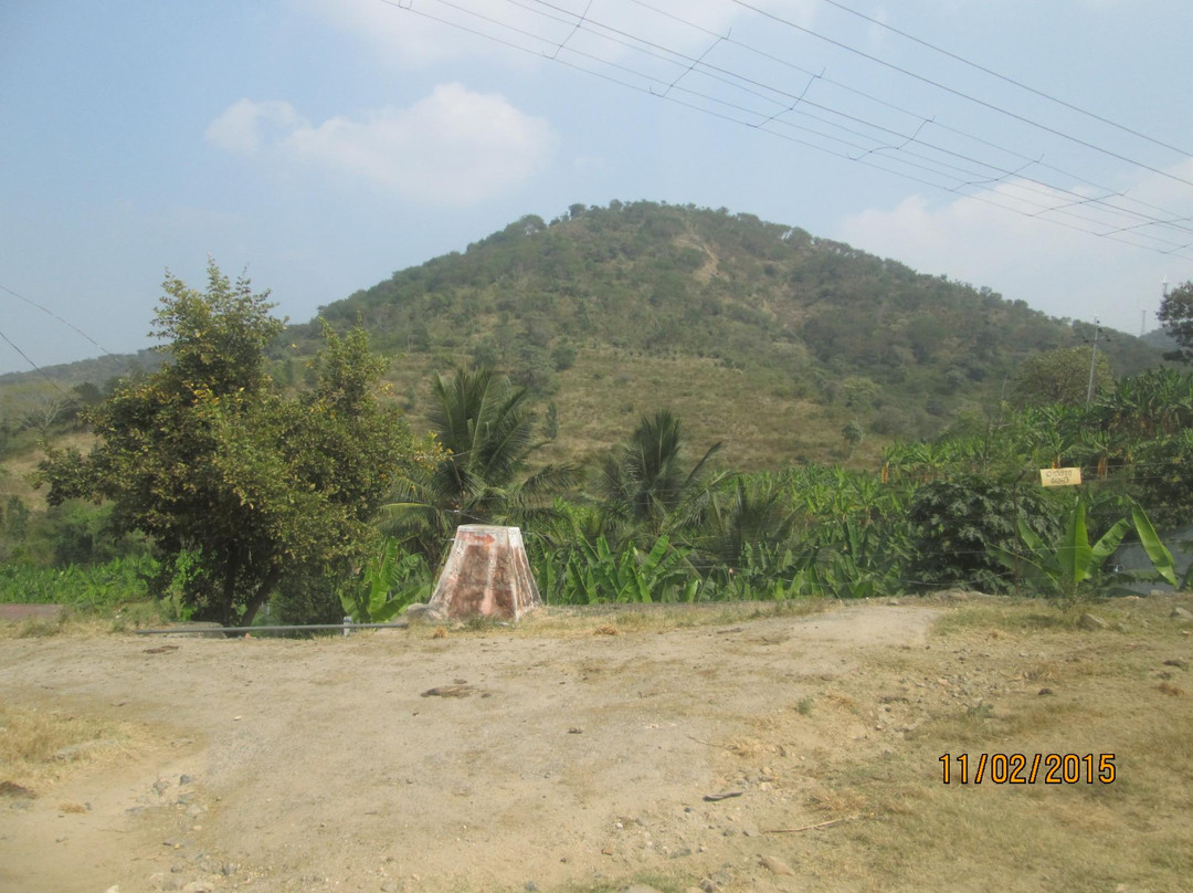 Attapadi Reserve Forest-Palakkad必去景点