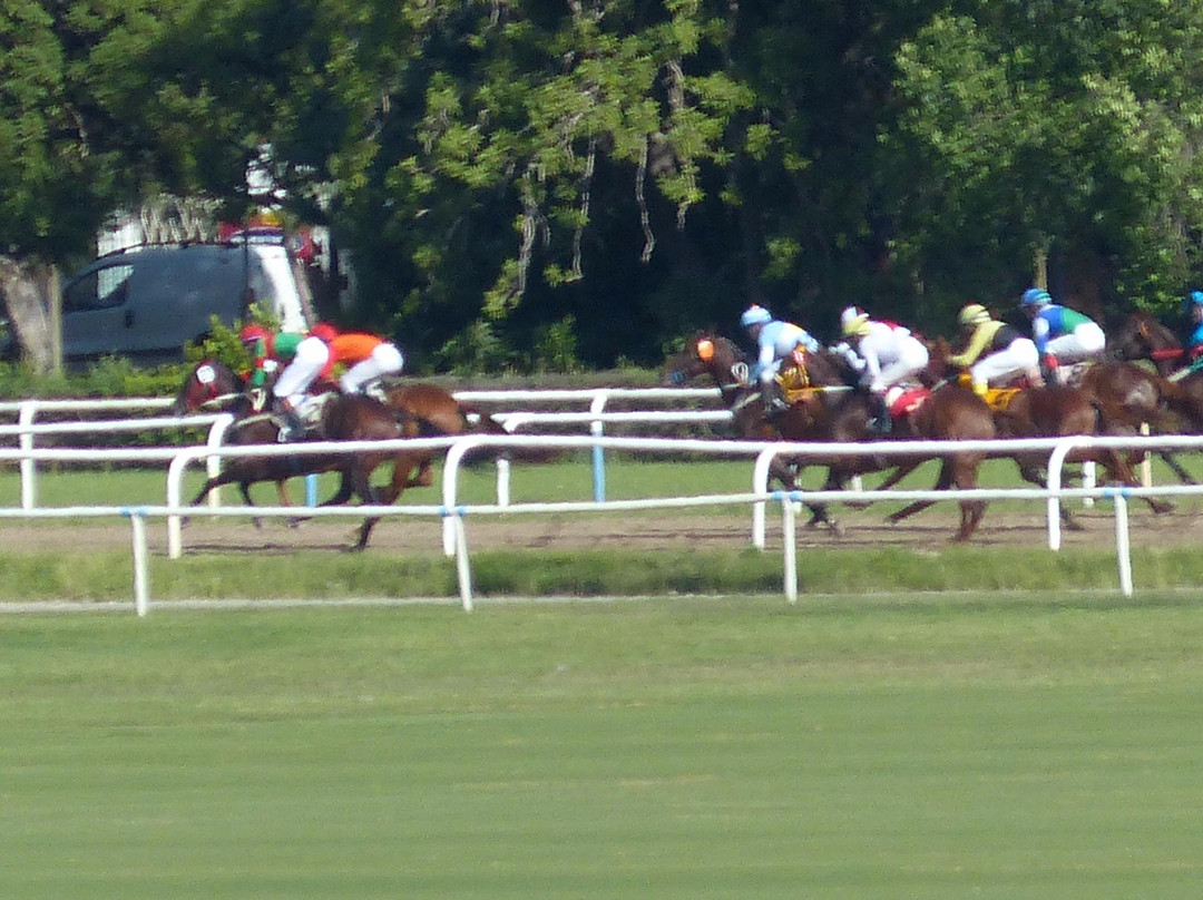 Hipodromo de San Isidro景点图片