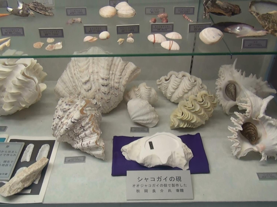 Miyakojima Sea Treasure Museum-宫古岛市必去景点