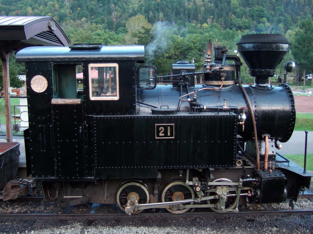 Shinrin Park Ikoi no Mori-远轻町必去景点