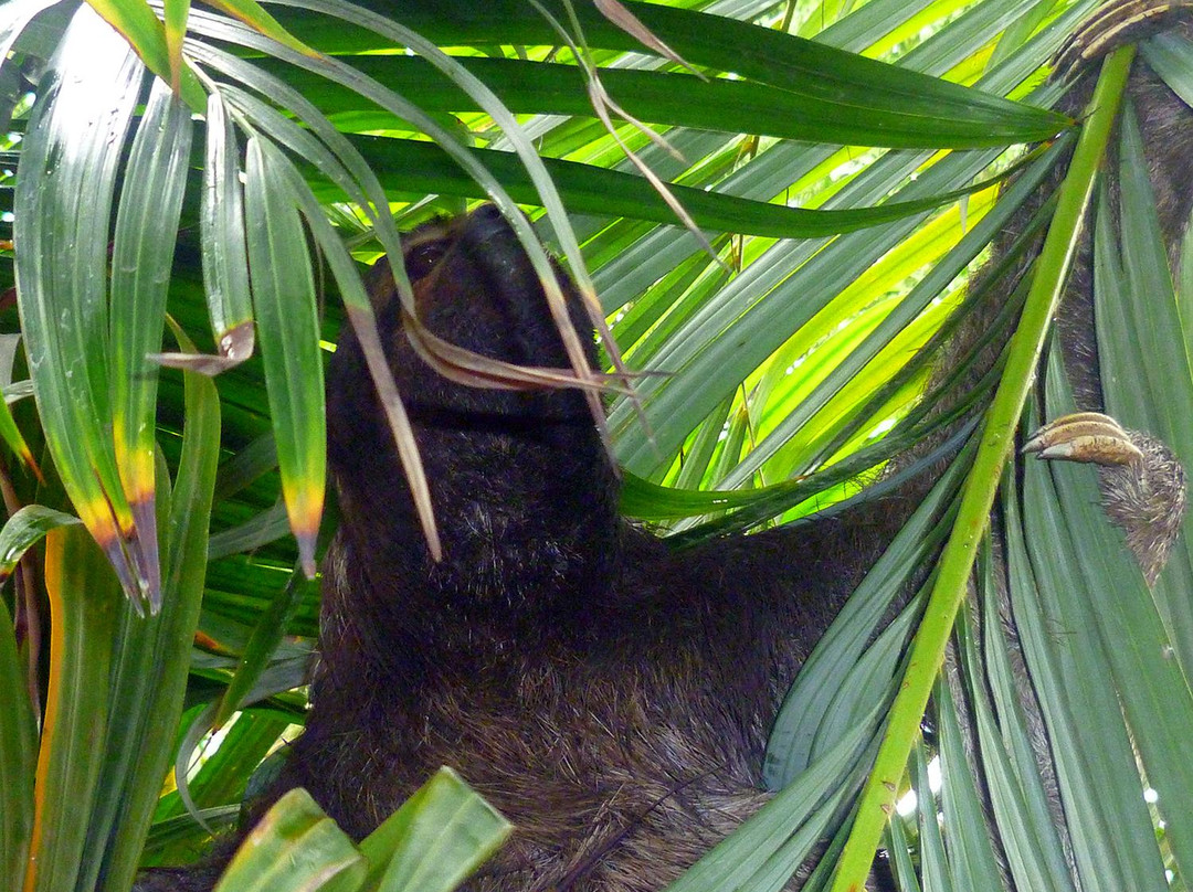 Eco Reserva Susurros Del Bosque-麦德林必去景点