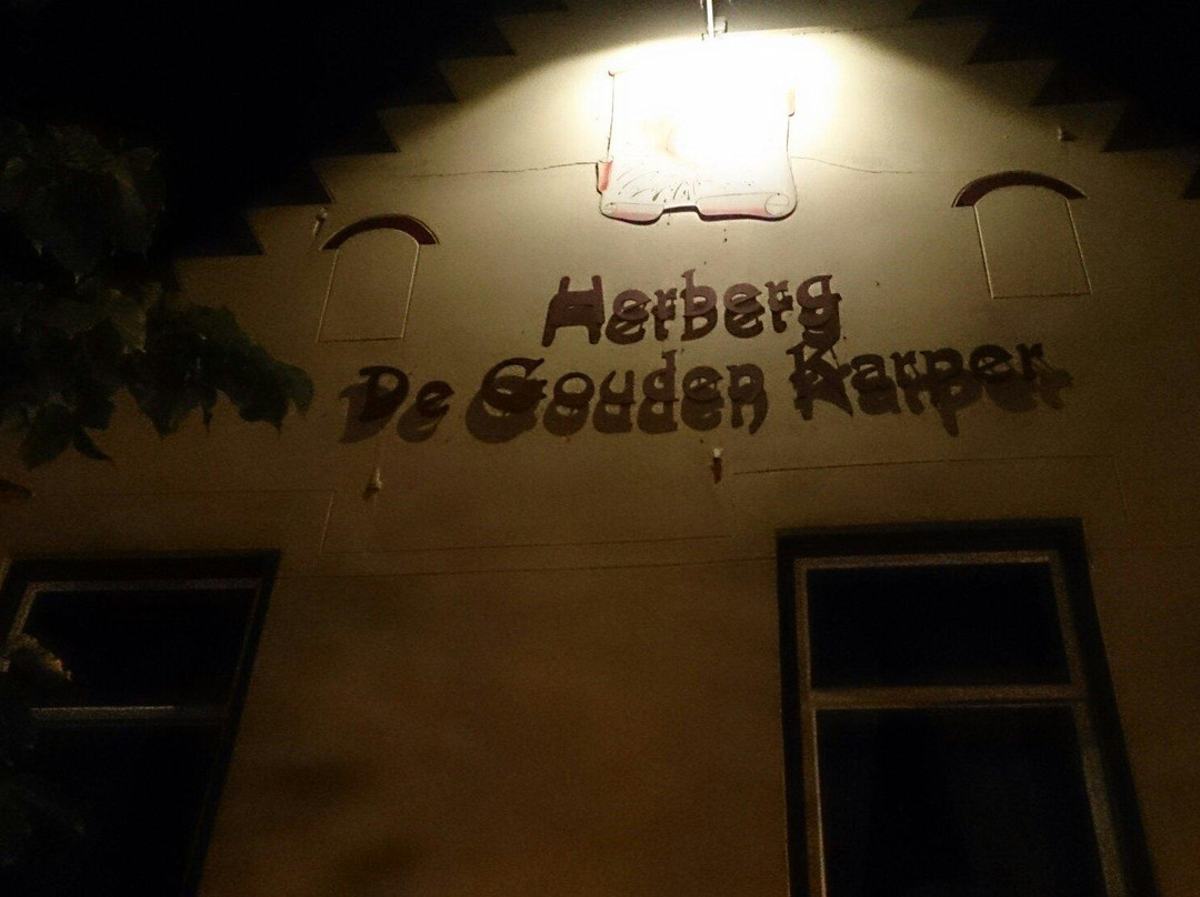 De Gouden Karper主图