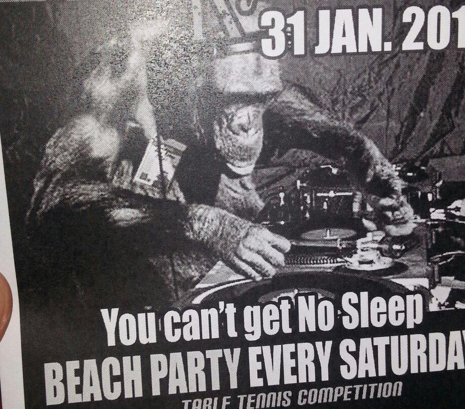 Cheeky Monkey Bar-兰塔岛必去景点