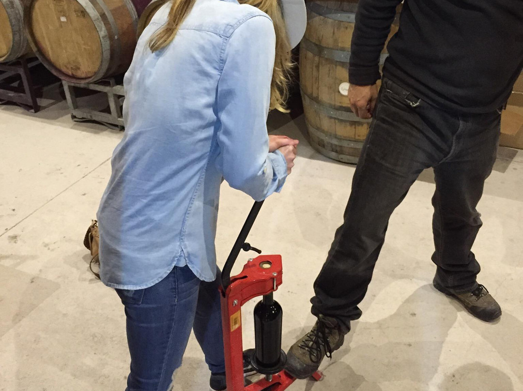 OWM-圣克鲁斯必去景点