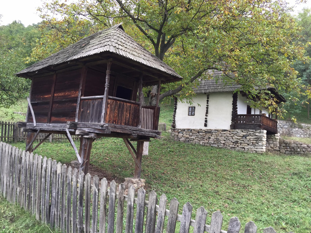 Village Museum of Valcea County景点图片
