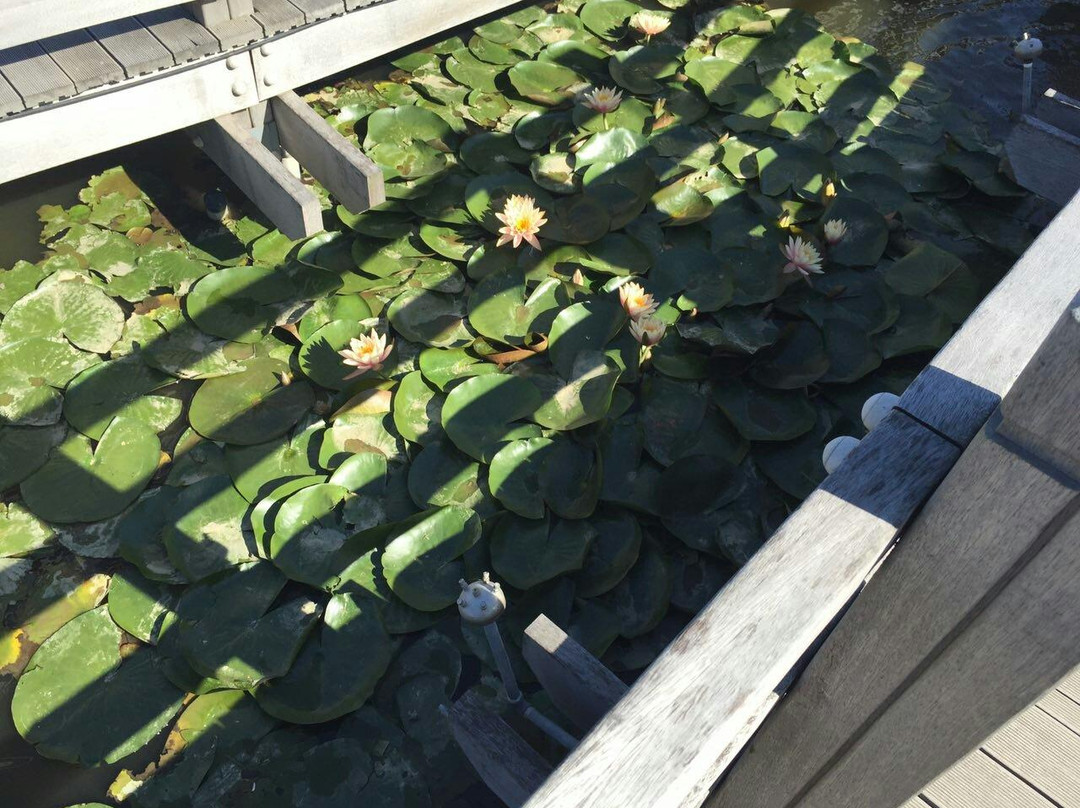 Anseong Namsadang Training Center-安城市必去景点