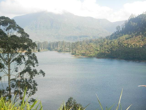 Blue Sky Guest House And Restaurant主图