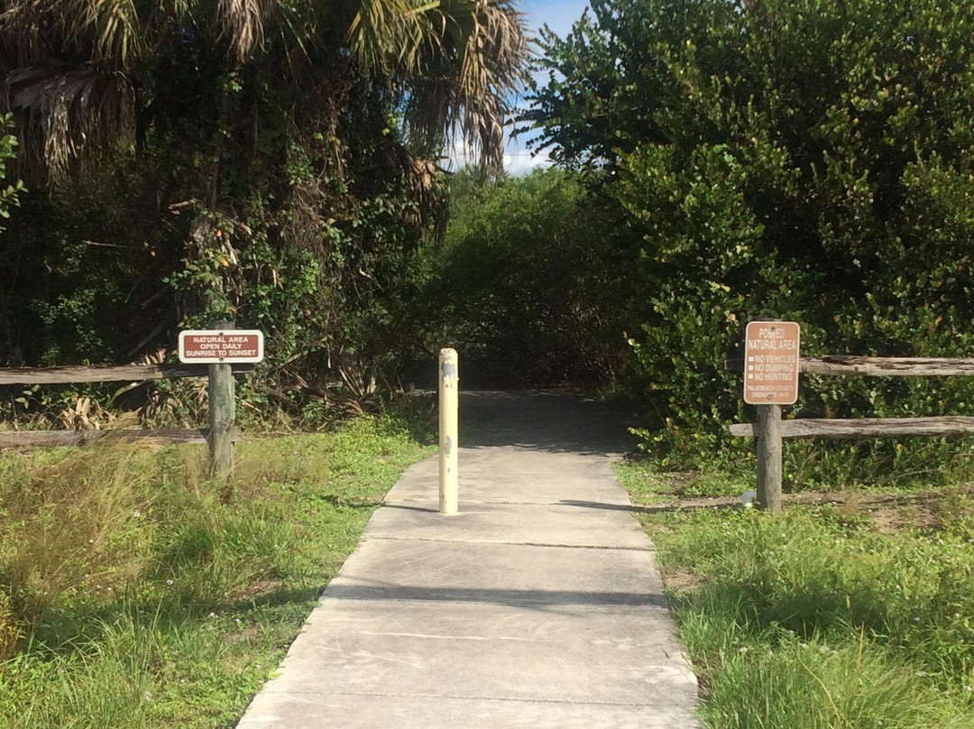 Yamato Scrub Natural Area-博卡拉顿必去景点