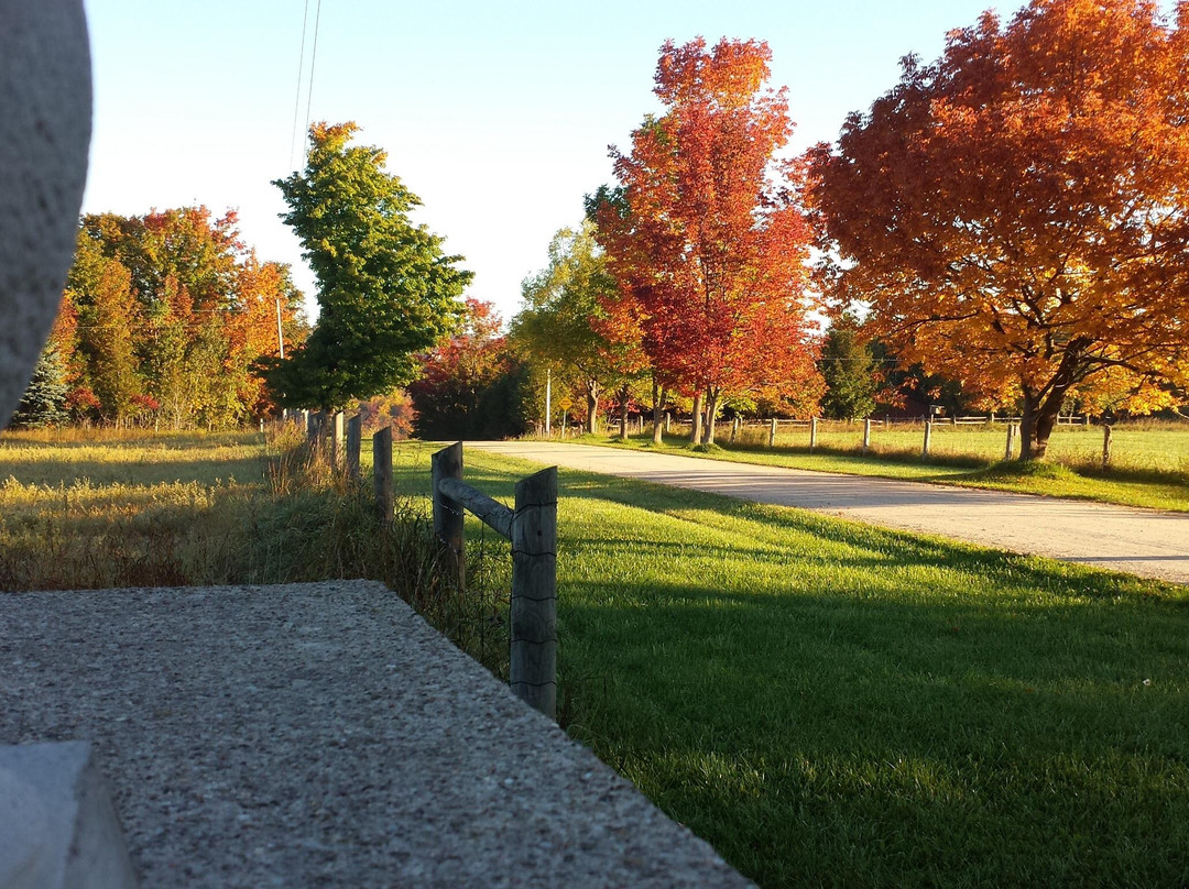 Sequel Inn Creemore主图