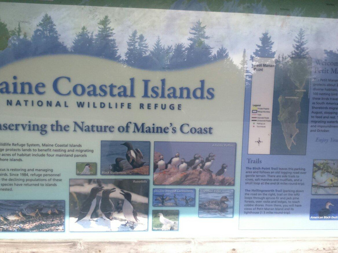 Maine Coastal Islands National Wildlife Refuge景点图片
