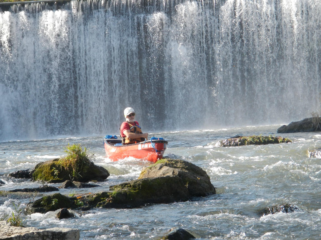 Pilgrim Paddles LLC-罗切斯特必去景点