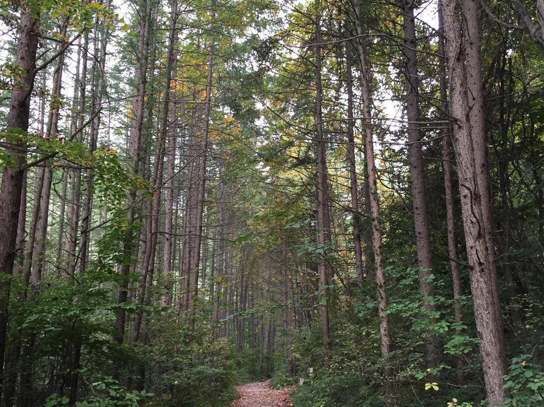 Geomnyongso Pond-太白市必去景点
