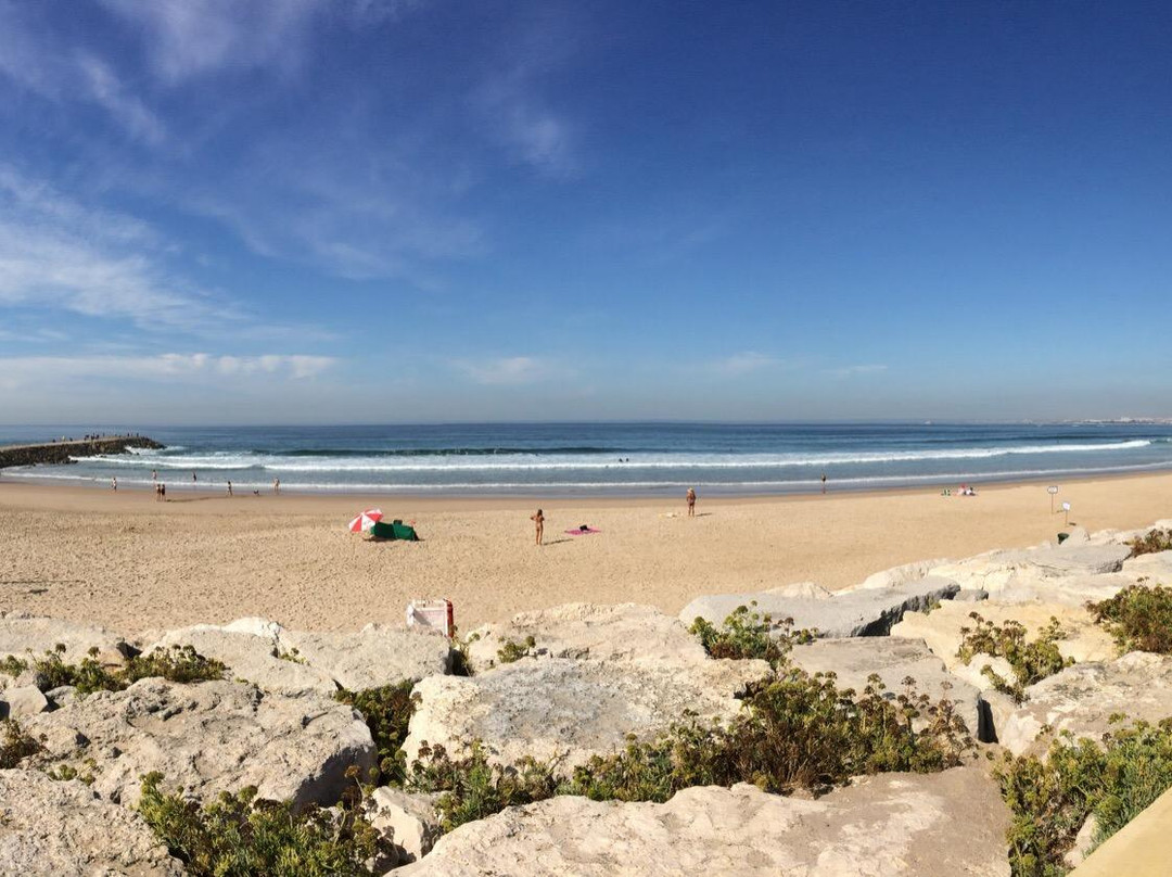 Solfun Surf School景点图片