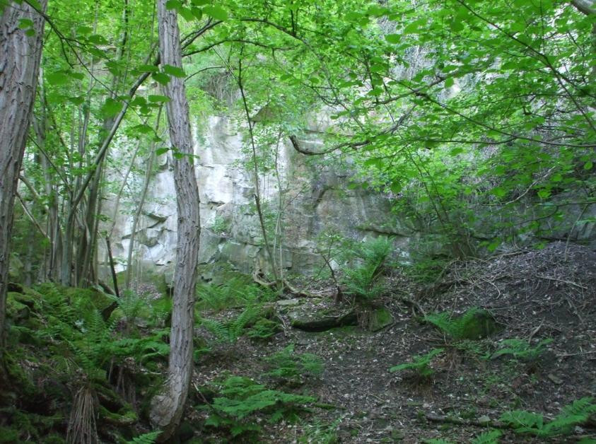 Nahe der Natur - Mitmach-Museum fur Naturschutz景点图片