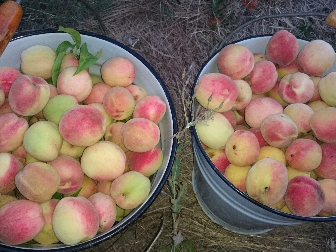 Bolshye Isady Square-阿斯特拉罕必去景点