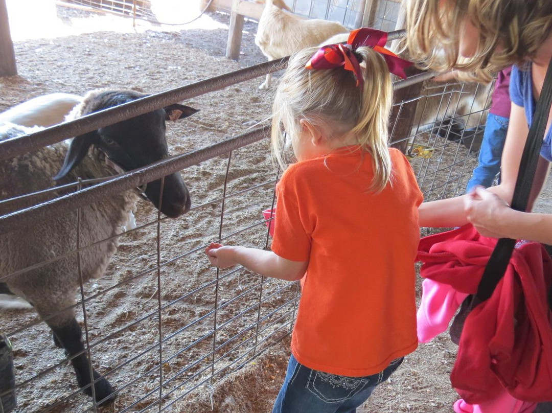 Conner's A-Maize-Ing Acres-Hilliard必去景点