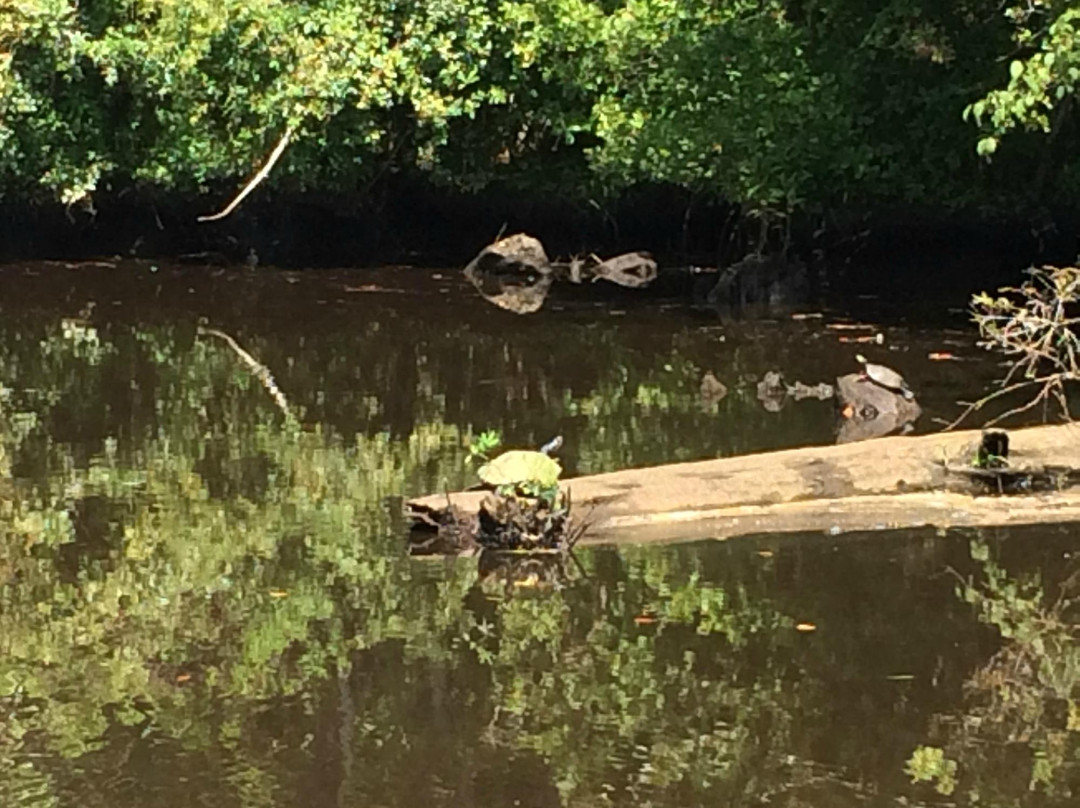 Pocomoke River Cruises-Snow Hill必去景点