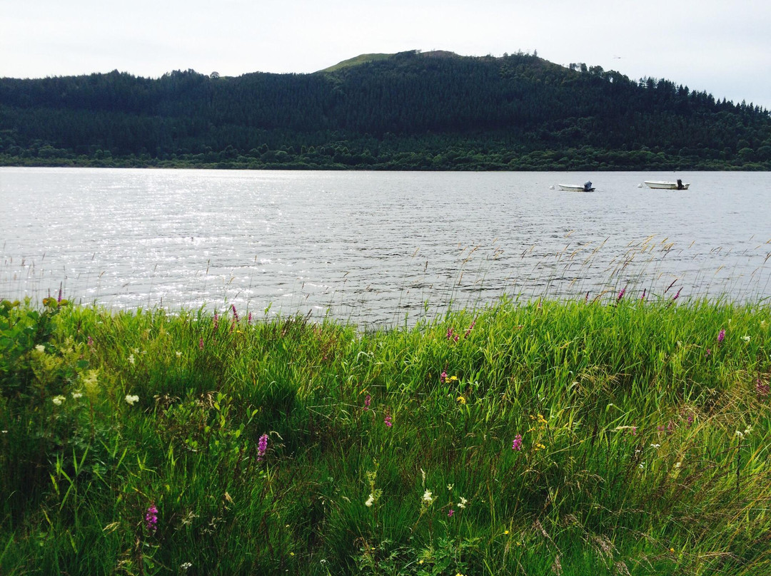 Bassenthwaite Lake景点图片