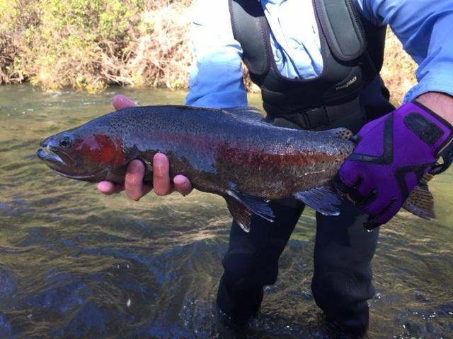 Wiltons World of Fly Fishing景点图片
