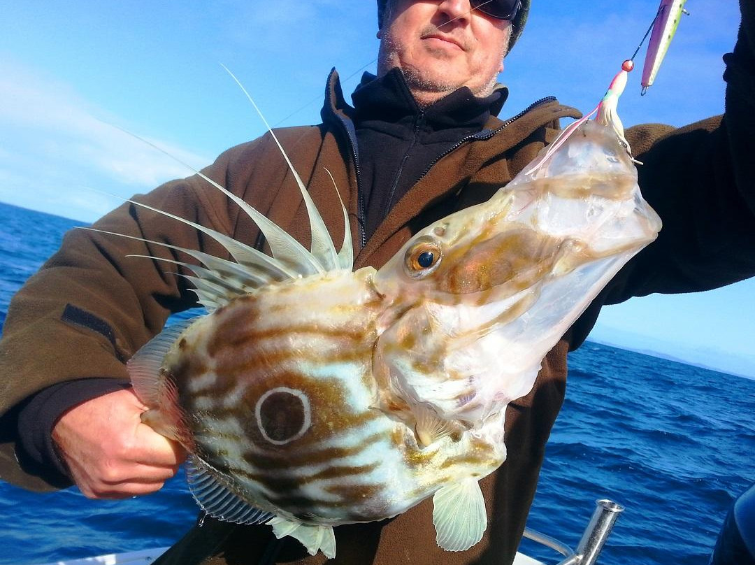 Snap Fishing Ventures-奥拉迪亚必去景点