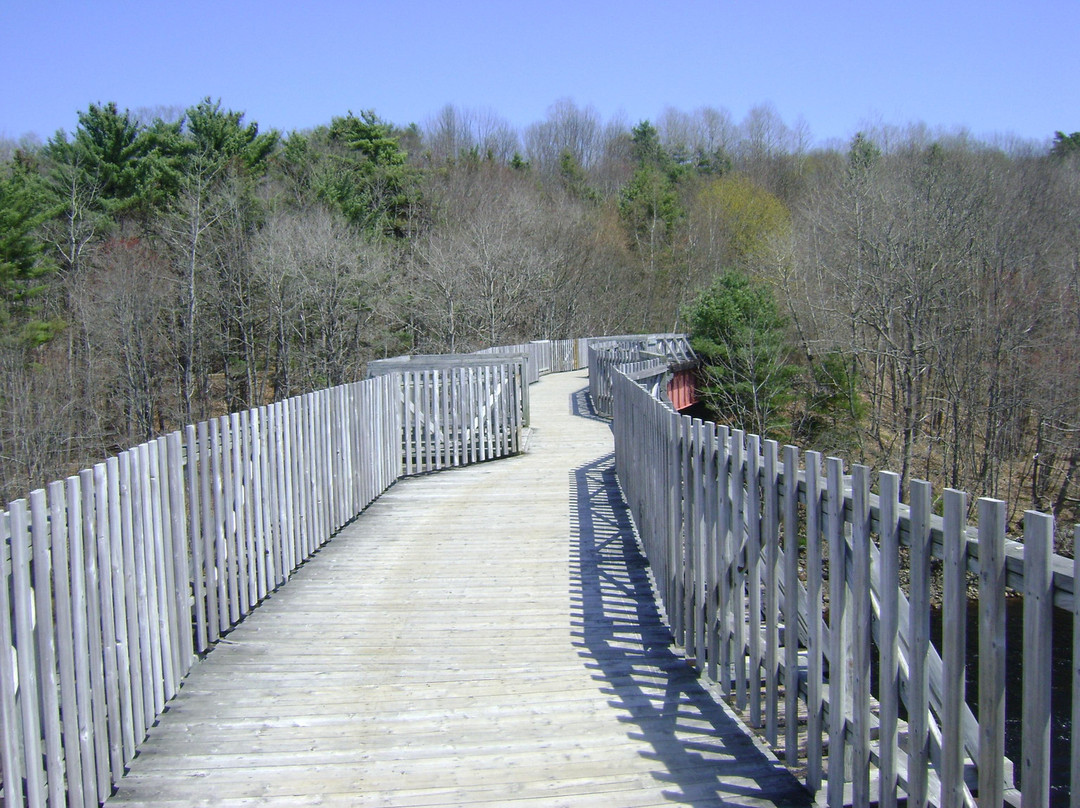Sam's Woodland Tours-Bridgewater必去景点
