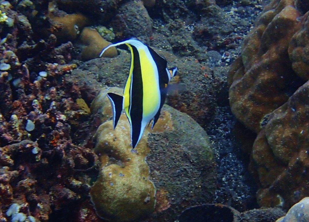Jemeluk Beach-艾湄湾必去景点