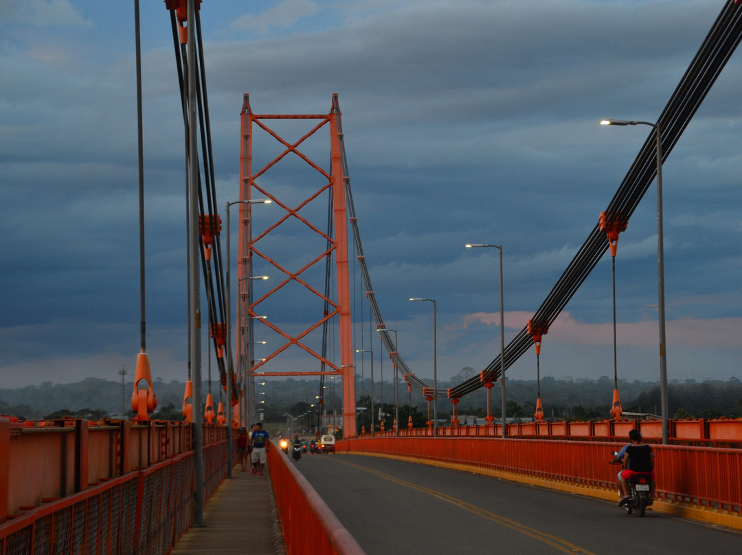 Puente Billinghurst-马尔多纳多港必去景点