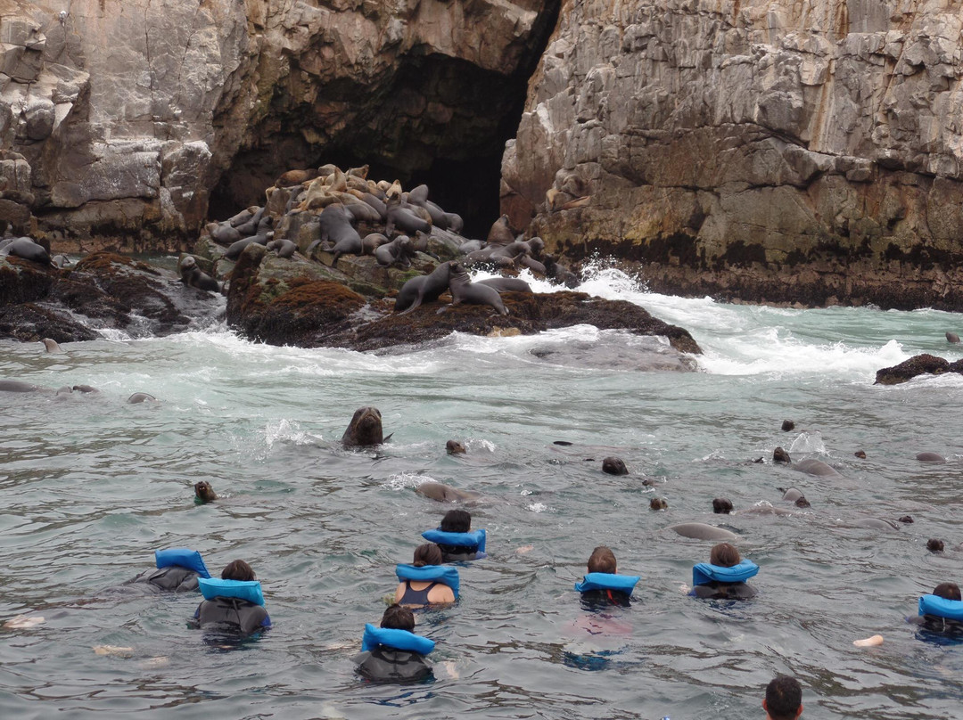 Islas Palomino-Callao必去景点