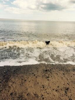 Dunwich Heath and Beach-Dunwich必去景点