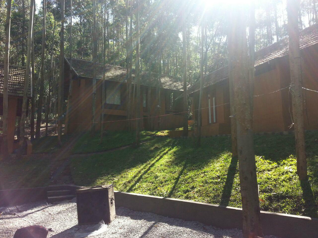 Sahari Mariental Jungle Resort, Vattavada, Munnar主图