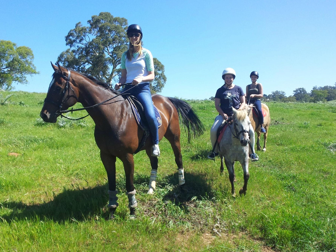 Nyroca Riding Centre景点图片