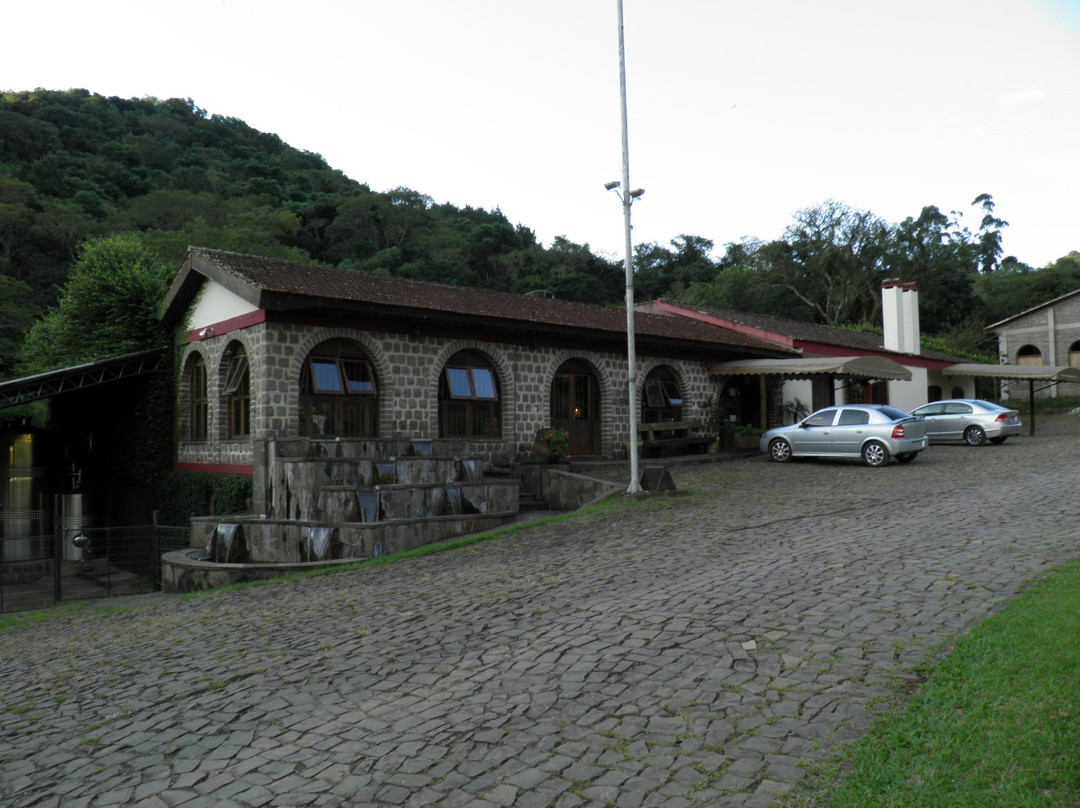 Vinícola Velho Amâncio景点图片