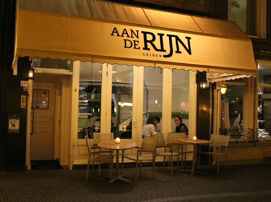 Aan de Rijn