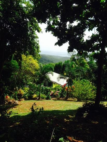 Palm Tree Gardens Botanical Garden-Saint David's必去景点