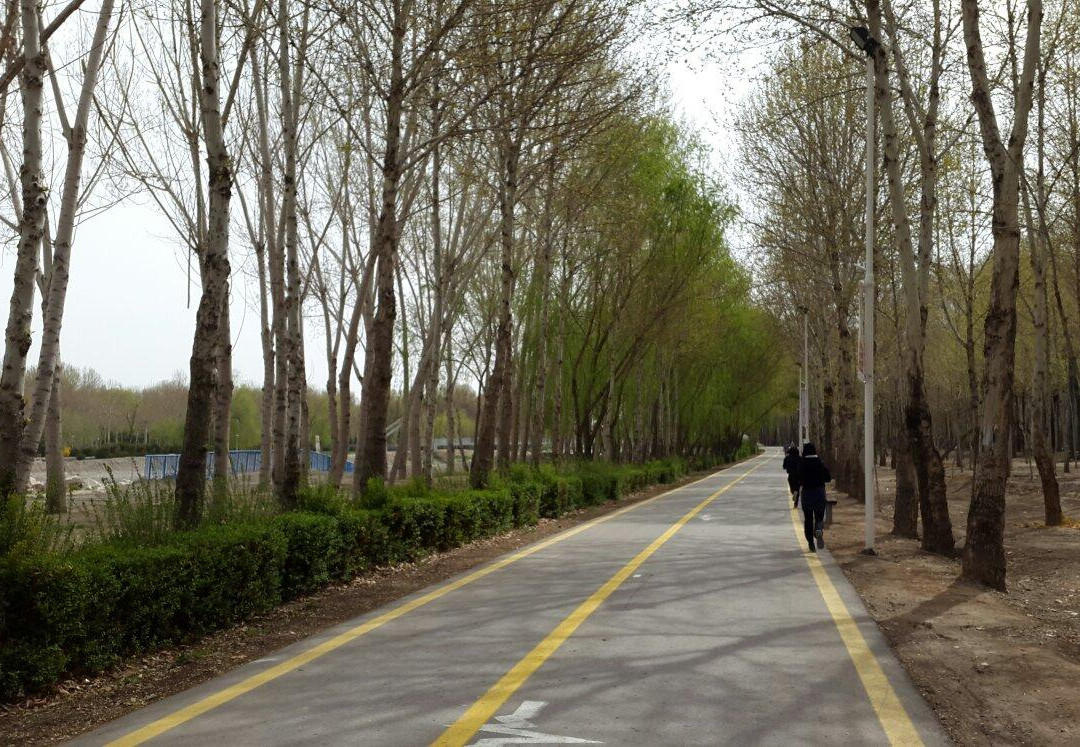 Nazhvan Forest Park景点图片