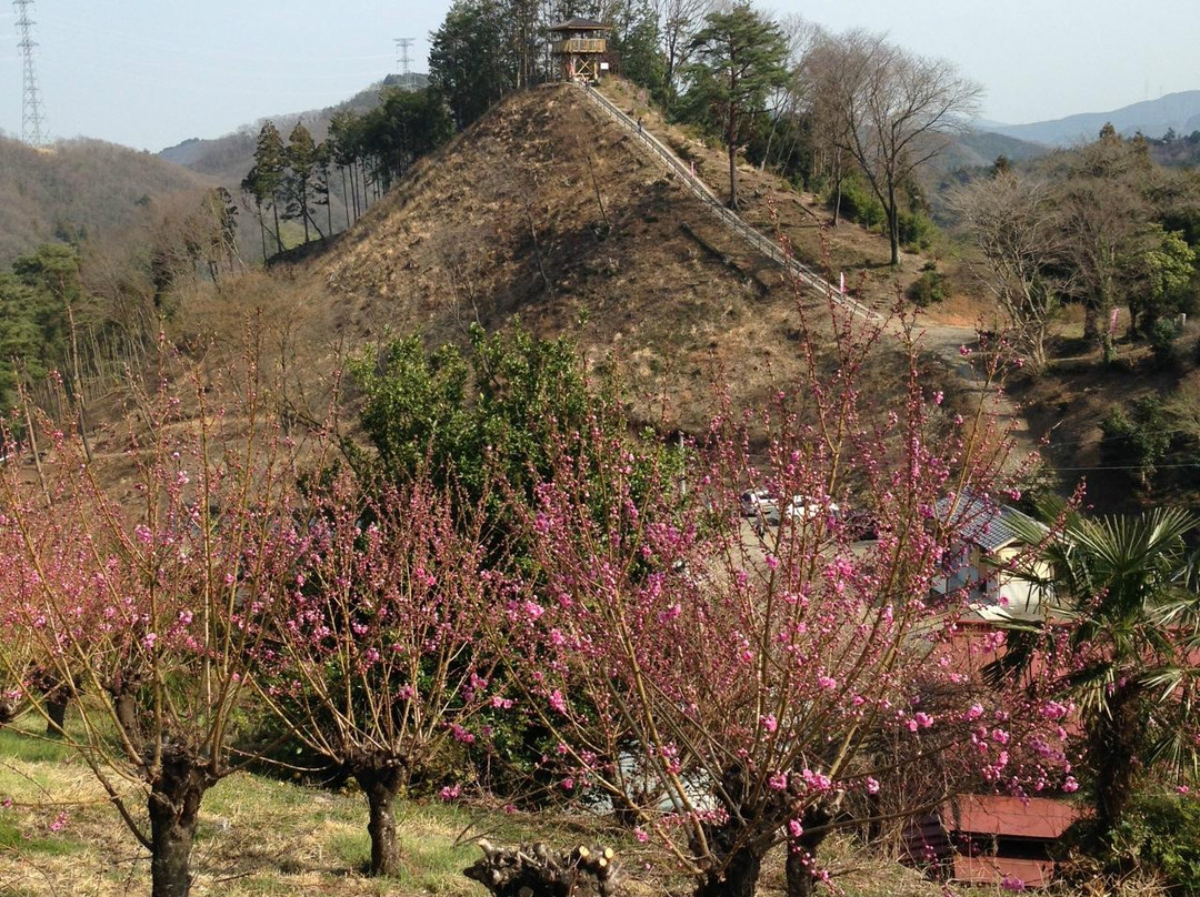 Ouchizawa Hanamomonosato景点图片