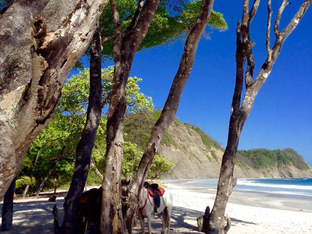 Barrigona Beach景点图片