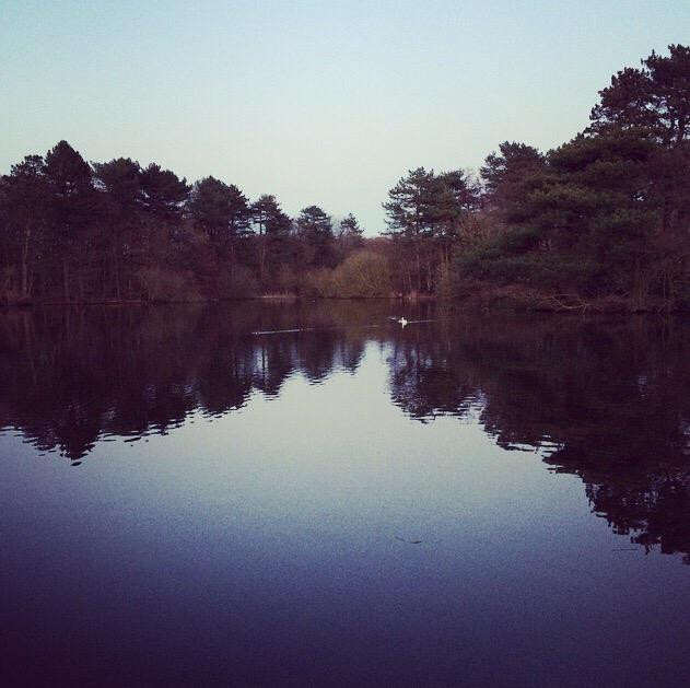 Cuerden Valley Park景点图片