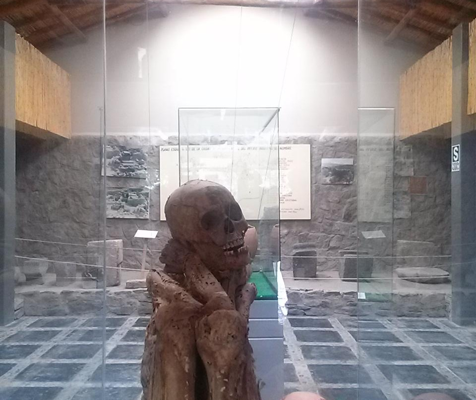 Museo de Sitio Wari-Ayacucho必去景点