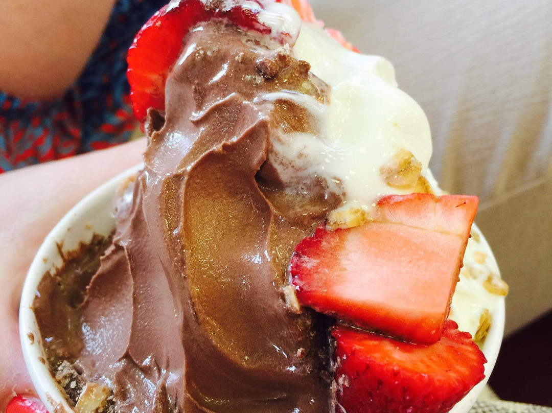 Golden Spoon Frozen Yogurt