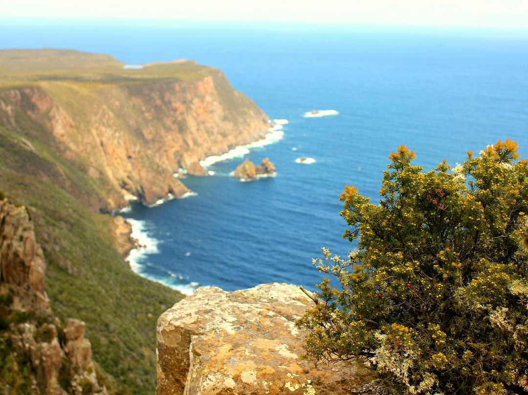 Cape Raoul景点图片