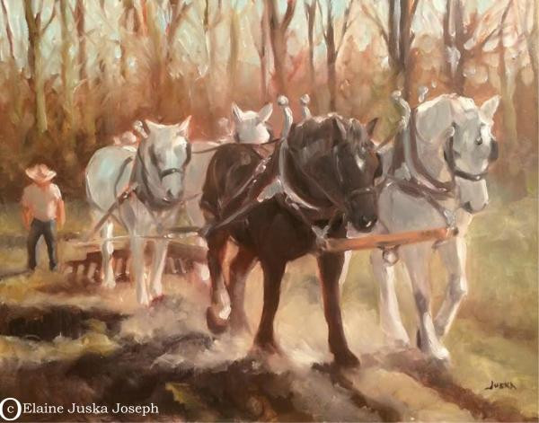 Equis Art Gallery-Red Hook必去景点